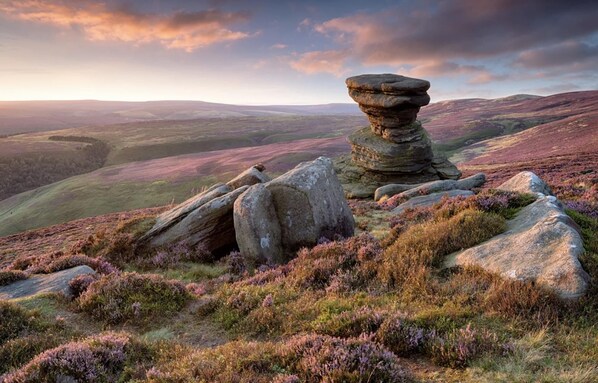 คอทเทจ | บริเวณที่พัก