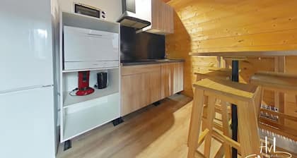 Le Chitelet, vue pistes, appt 215