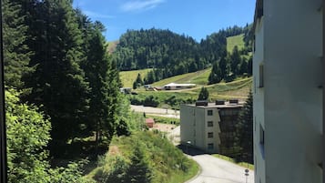 Vista desde la propiedad