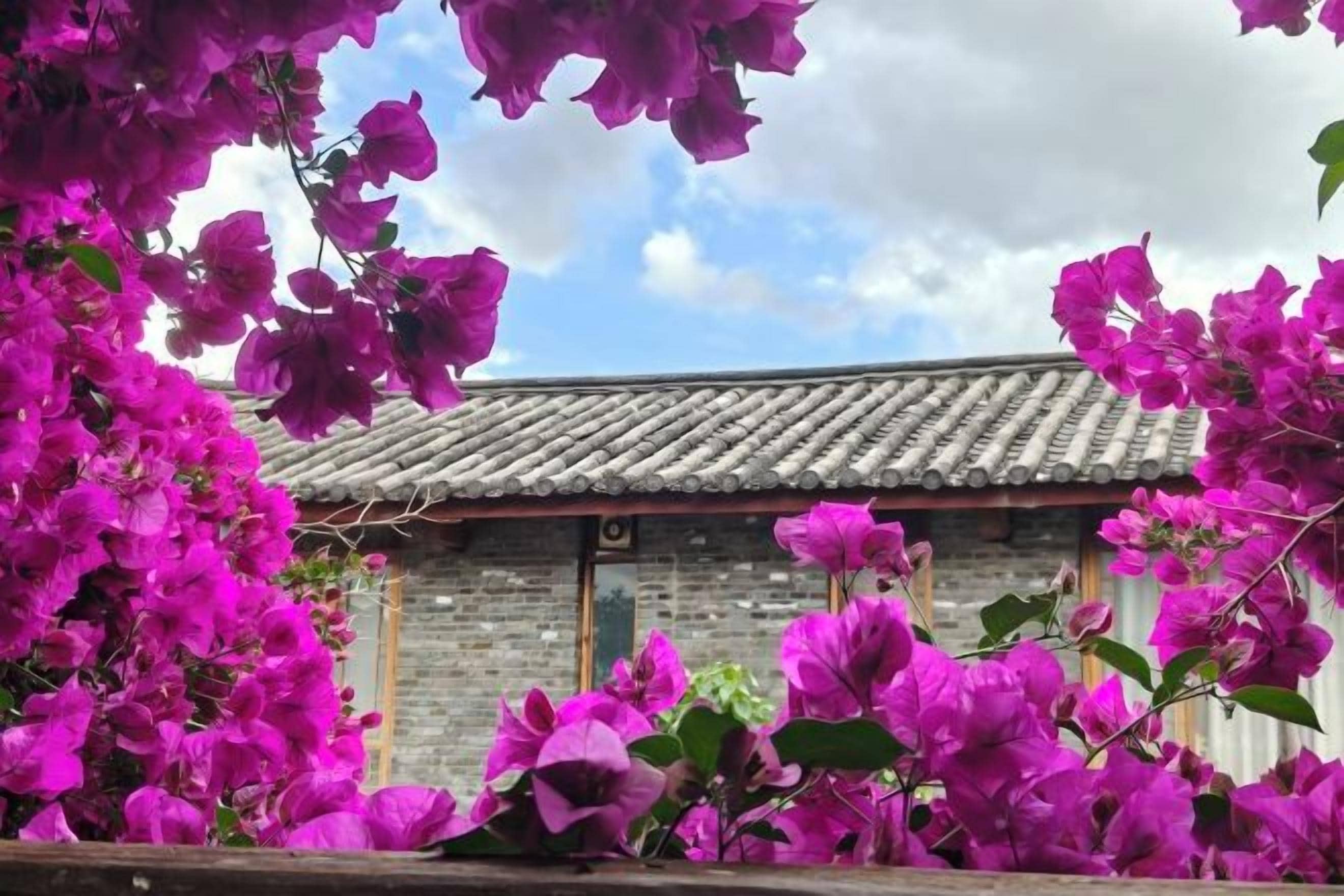Un edificio tradicional con tejado de baldosas y puertas de madera, rodeado de flores moradas vibrantes.