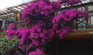 Exterior detail - Lijiang Youmi Inn (Lijiang)