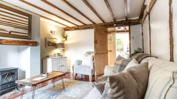 Smart TV, fireplace, books