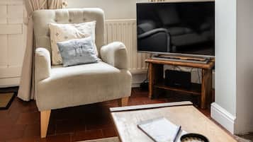 Smart TV, fireplace, books