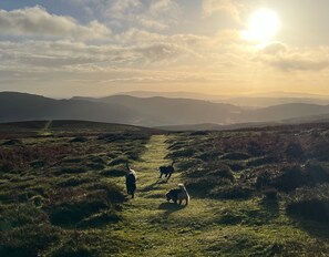 Miscellaneous - Daisy's Place - sleeps 2 guests  in 1 bedroom (Church Stretton)