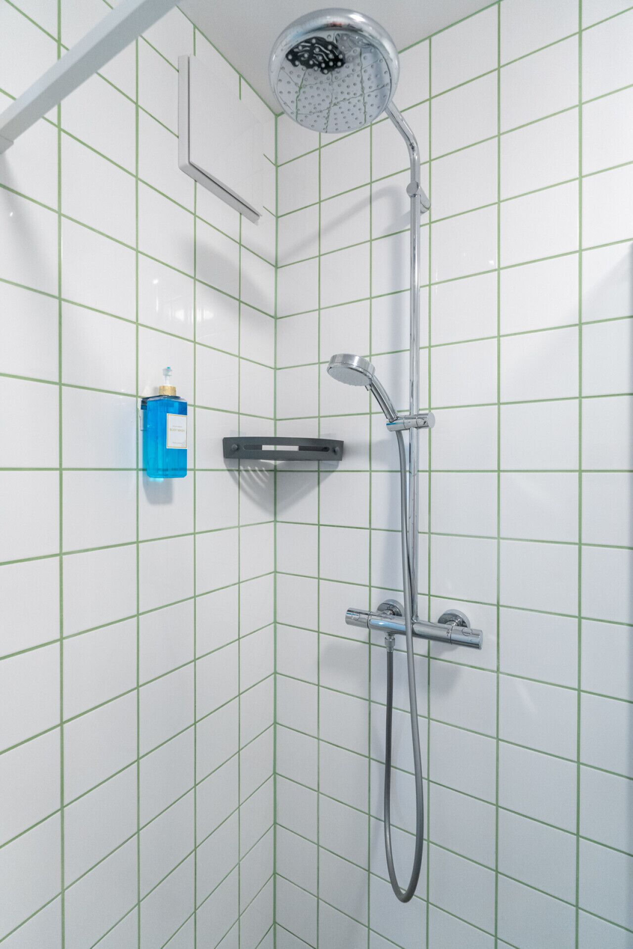 A shower with a handheld showerhead and a wall-mounted faucet.