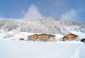 Exterior - Holiday apartment with balcony (Flachau)