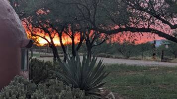 المنطقة المحيطة بالمنشأة