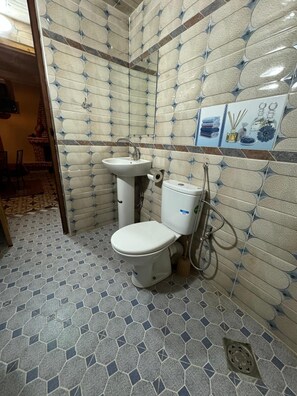 Serviettes fournies, savon, shampoing, papier toilette