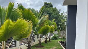 A pathway leading to a building with a white exterior and a small lawn area with palm trees.