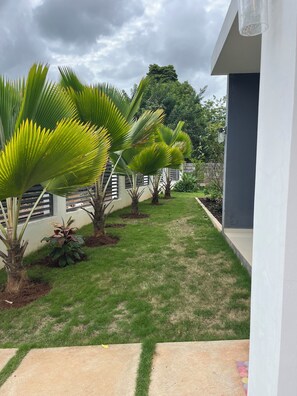A pathway leading to a building with a white exterior and a small lawn area with palm trees.