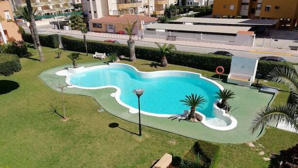 Una piscina con borde ondulado, rodeada de césped cuidado y palmeras.