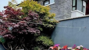 A patio with a wooden table and chairs, surrounded by potted plants and a stone wall. - 3 min walk in to town , Great location in town (kinsale)