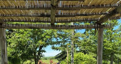 Charming farmhouse with AC and WiFi in picturesque Piemonte