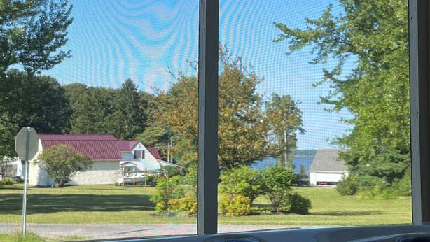 A window with a view of a house, trees, and a clear blue sky.