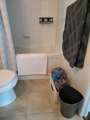 Hair dryer, towels, soap, toilet paper