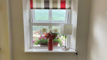 A room with a window, a radiator, and a checkered floor.