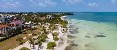A beach resort with a clear view of the ocean, a sandy shoreline, and a row of palm trees.