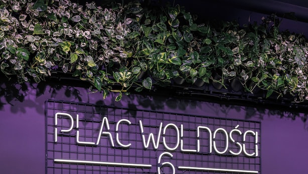 Seinä, jossa on neonvalomainos, jossa lukee ”PLAC WOLNOSA”, ja ruudukkomainen kuvio.
