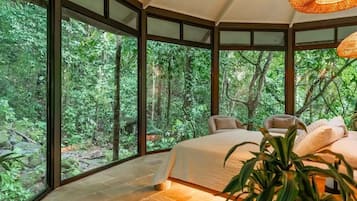 1 chambre, accĂšs Internet