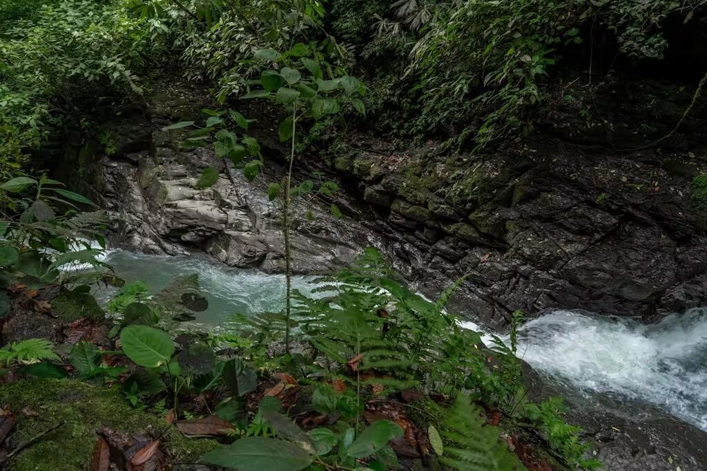 Un paysage naturel caractérisé par une rivière sinueuse, une végétation luxuriante et un terrain rocheux.