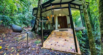 The Nest Unique Jungle Retreat