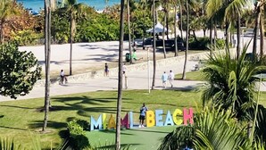 Escena de playa con palmeras y el texto "MIAMI BEACH" a la vista.
