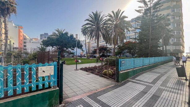 A paved walkway with a blue fence, palm trees, and buildings in the background.
