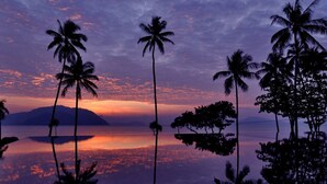A sunset over a calm body of water with palm trees silhouetted against the sky.