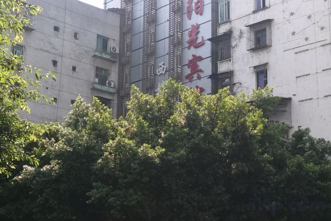 Un edificio con varias ventanas y balcones, rodeado de abundante vegetación.