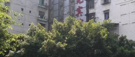 Un edificio con varias ventanas y balcones, rodeado de abundante vegetación.