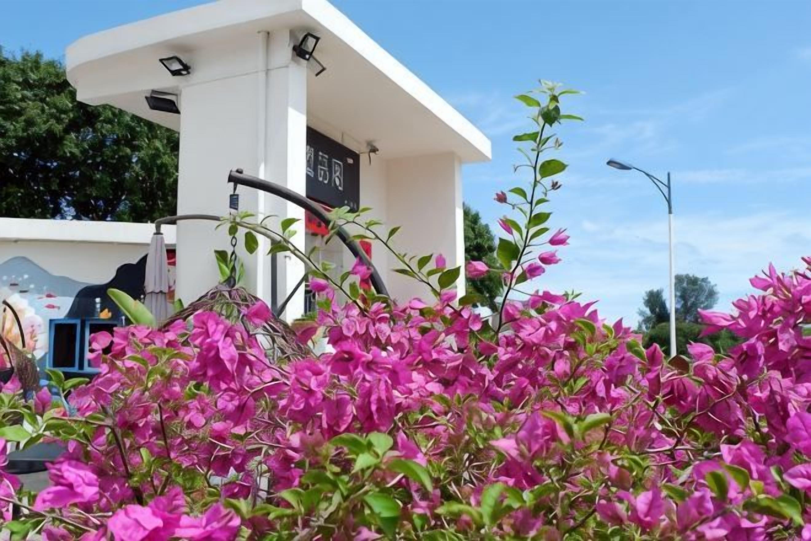Un edificio blanco con un letrero, rodeado de flores rosas.