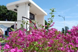 A white building with a sign, surrounded by pink flowers. - Yingyuge Inn (Shenzhen)