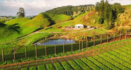 Orchard Valley, Waitomo Boutique Glamping