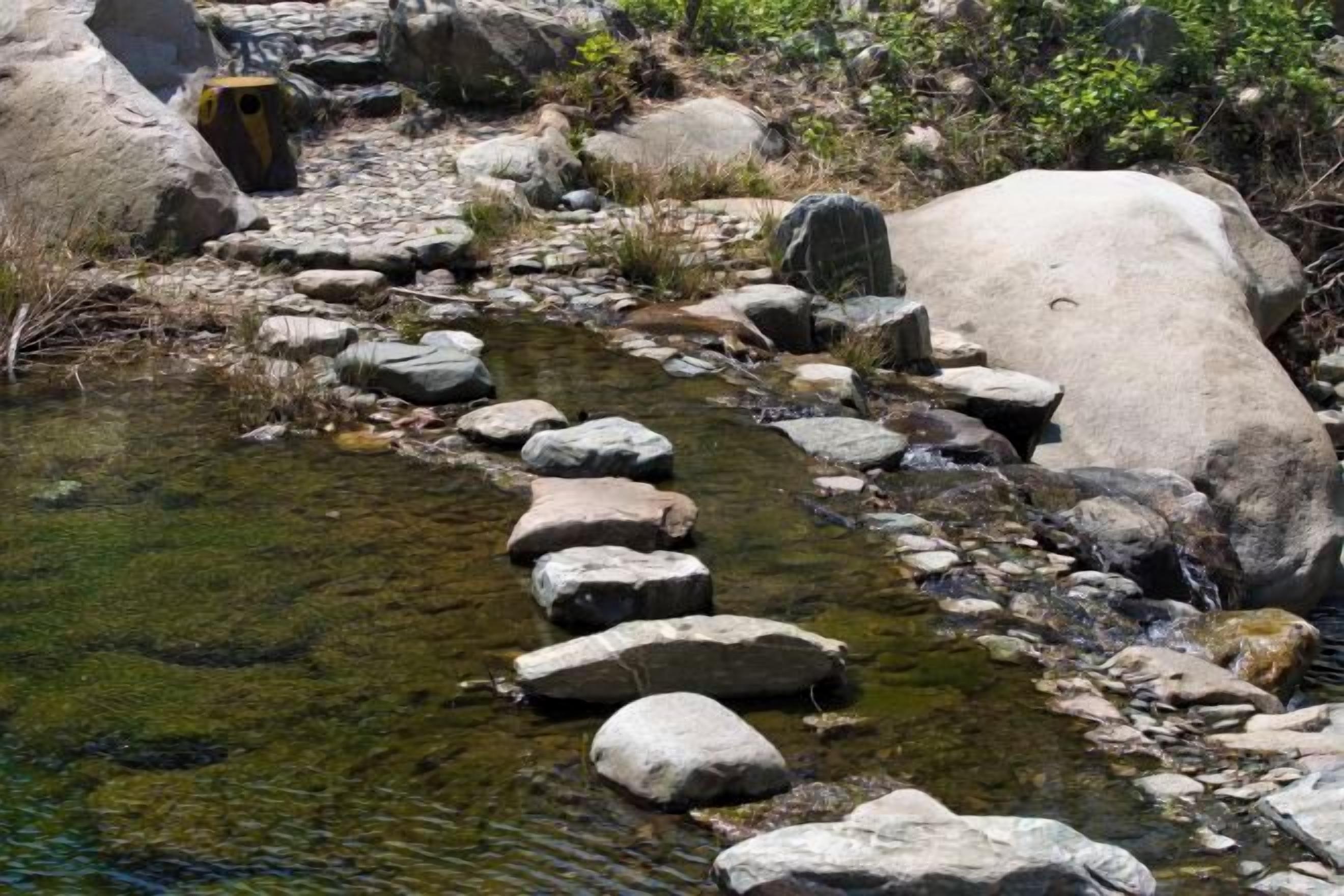 A natural water feature with stepping stones and rocks.