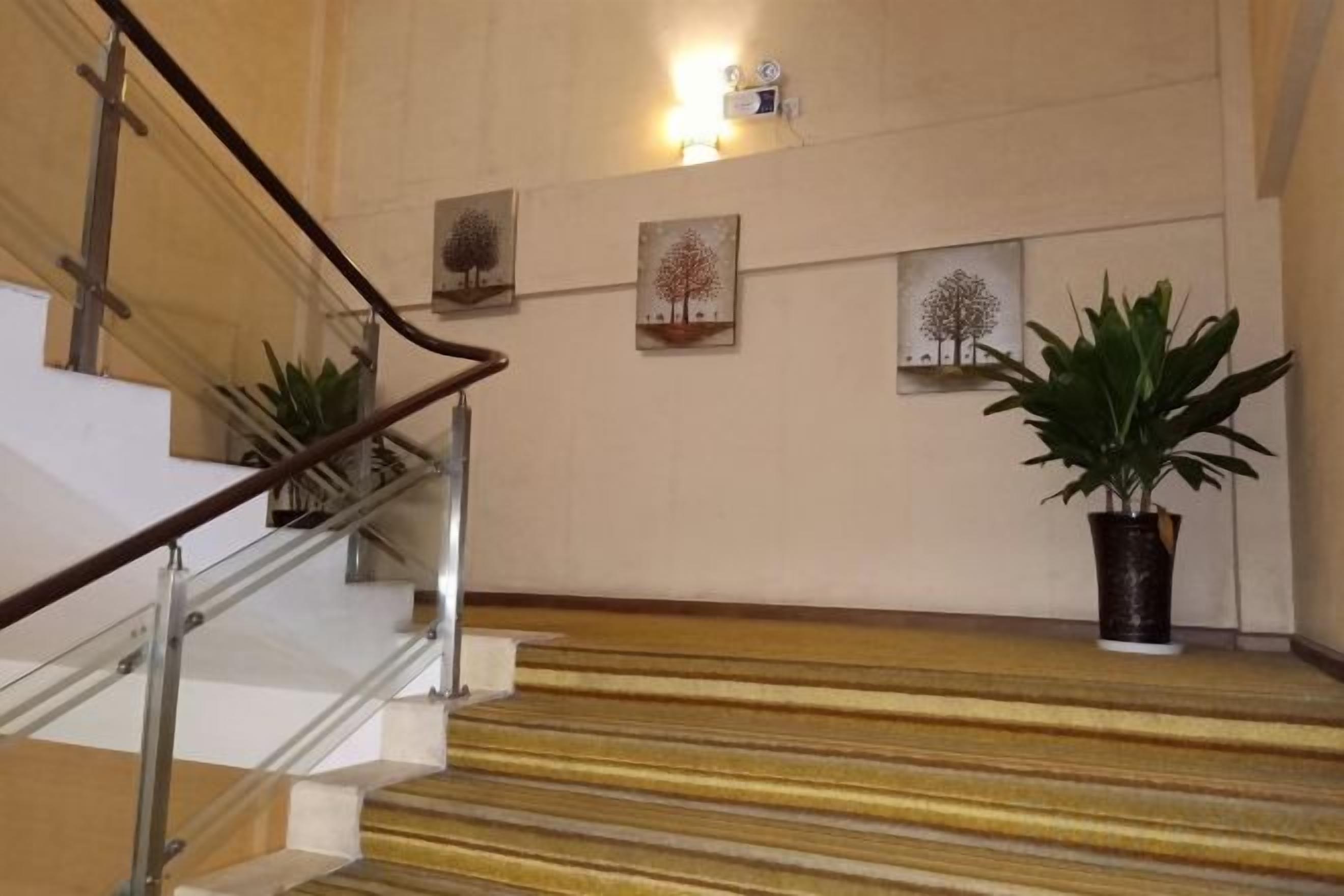 Uma escadaria com corrimão, plantas em vasos e obras de arte na parede.
