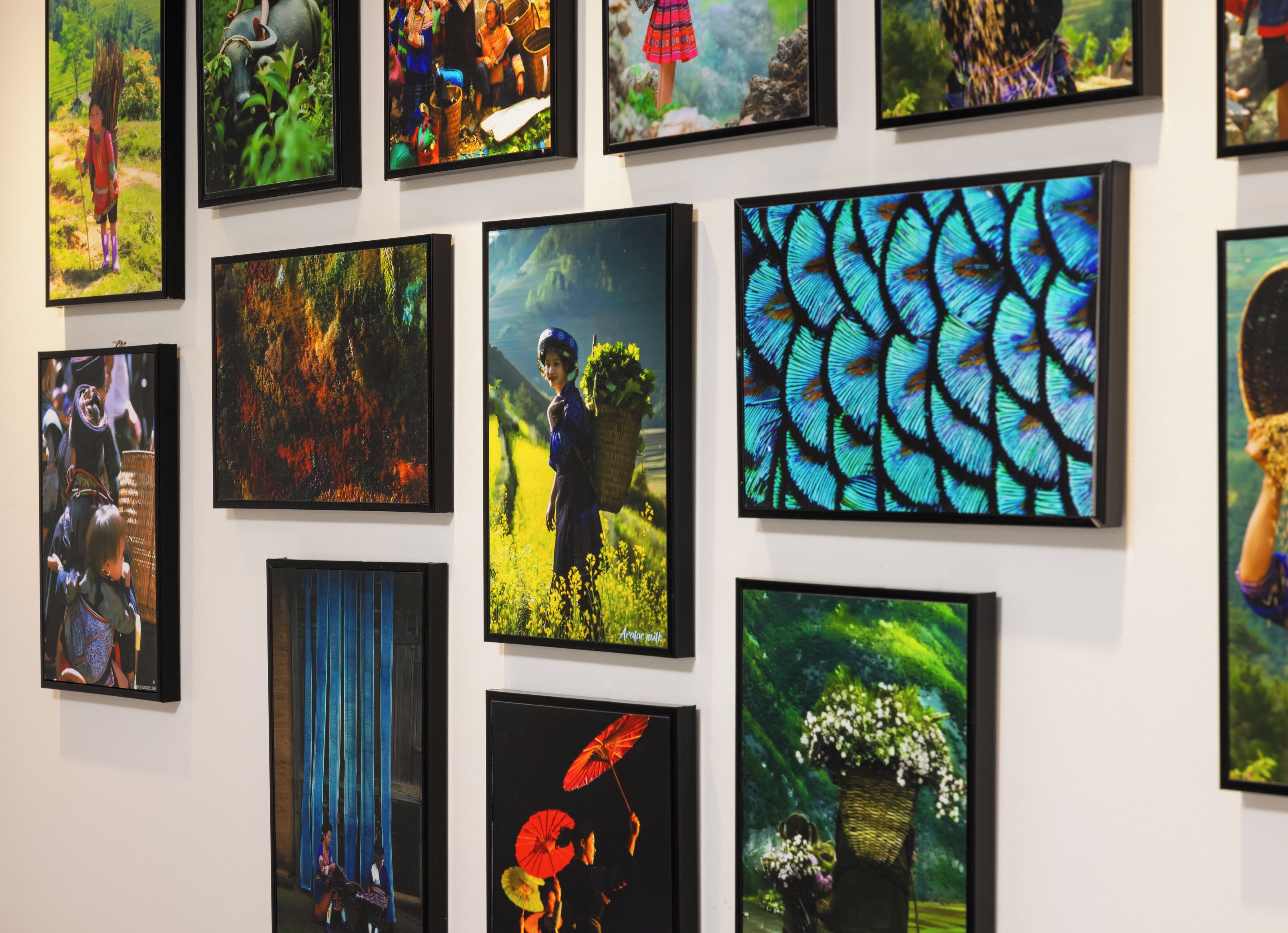 A gallery of framed artworks on a wall.