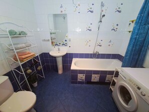 Hair dryer, towels, soap, toilet paper