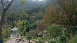 Un jardín tranquilo con un pabellón, asientos de piedra y un estanque.