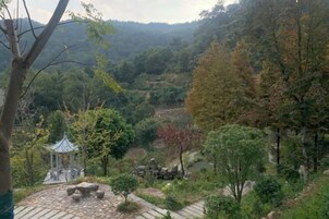 Jardín
