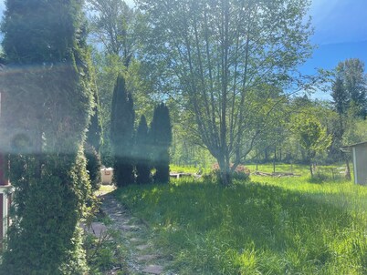 Cozy 4-bedroom cottage in enjoyable Elbe with WiFi on 16 wooded acres 