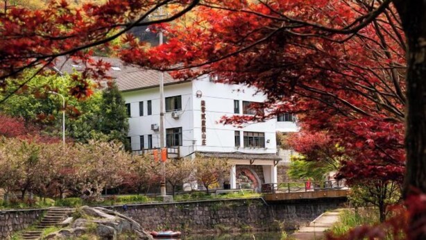 Un edificio tradicional con un puente de piedra sobre un canal, rodeado de follaje otoñal.