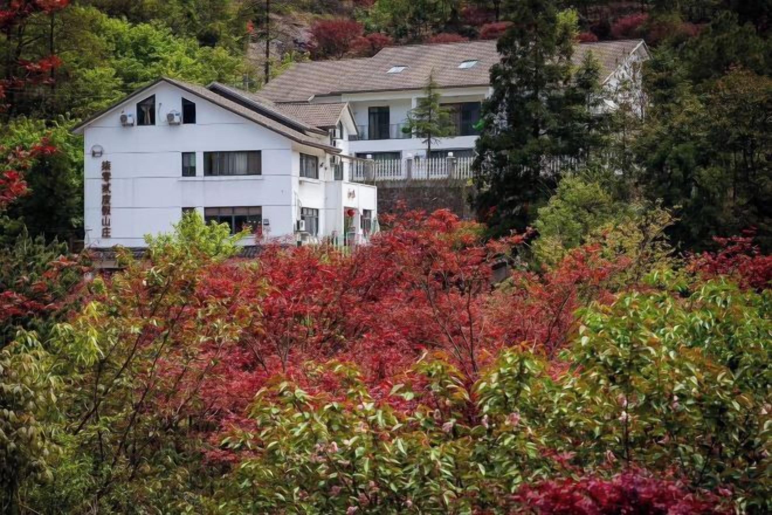 A two-story building with a flat roof, surrounded by dense foliage with red and green leaves.