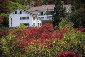 Un bâtiment à deux étages, doté d’un toit plat, entouré d’un feuillage dense aux feuilles rouges et vertes.