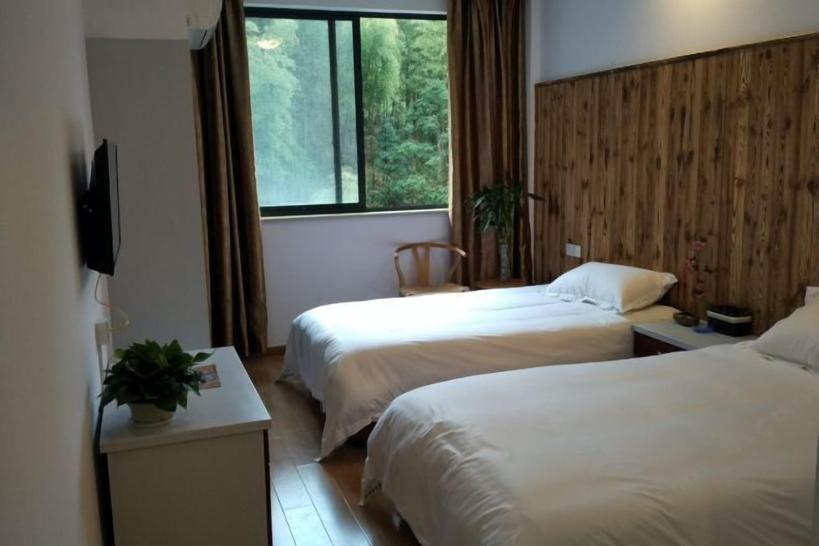 Quarto com duas camas, televisão, escrivaninha com uma planta e janela com cortinas.