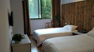 Una habitación con dos camas, televisión, escritorio con planta y ventana con cortinas.