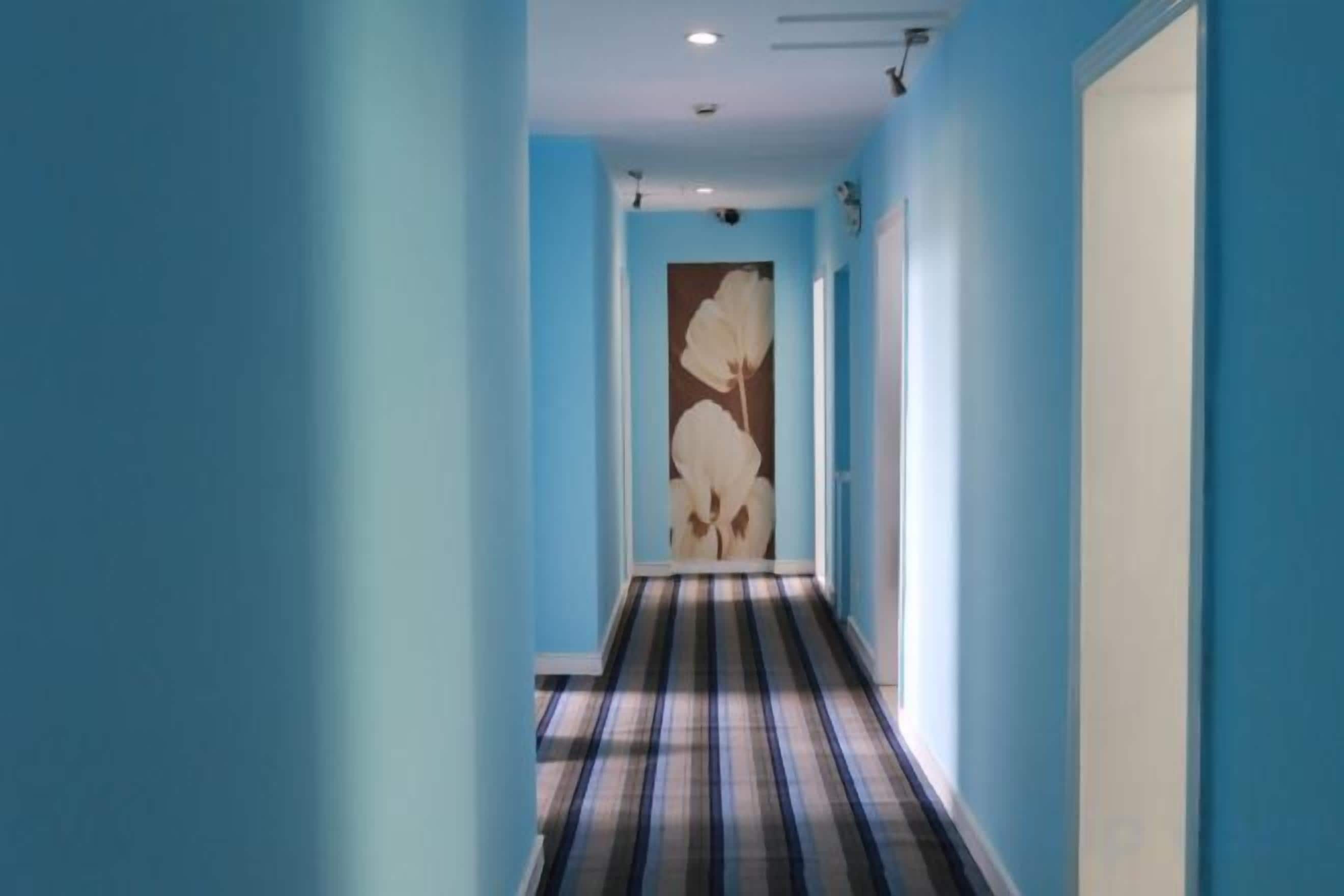 A hallway with blue walls and a striped carpet.