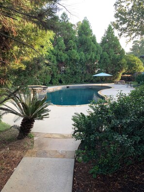 Pool - WESTLAKE MASTERS RENTAL 4-bedroom house in charming Martinez. Tournament ready! (Martinez)