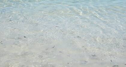 Serenity Sands at Barefoot Beach: Beach Bliss Awaits, Charming 2 bedroom condo