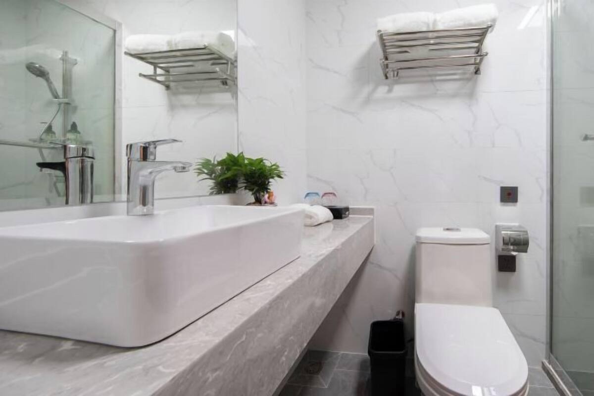 A modern bathroom with a large white sink, a glass shower enclosure, a toilet, and a small potted plant.