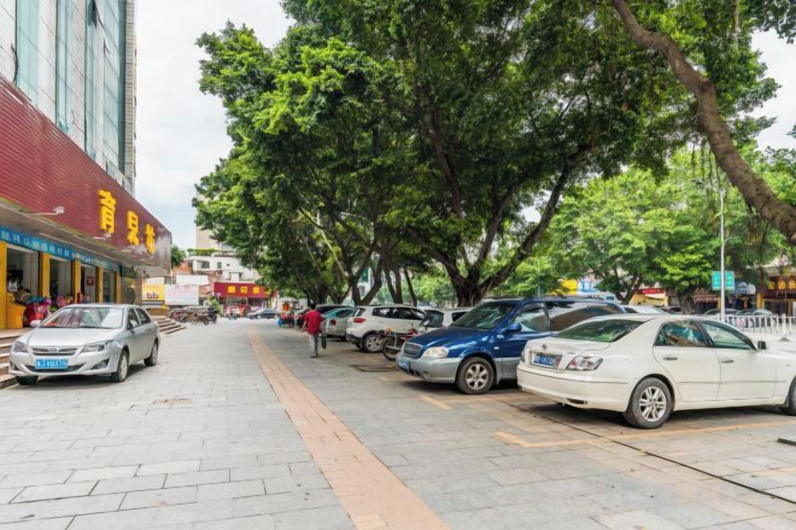 A street lined with parked cars and trees, with buildings on the left.